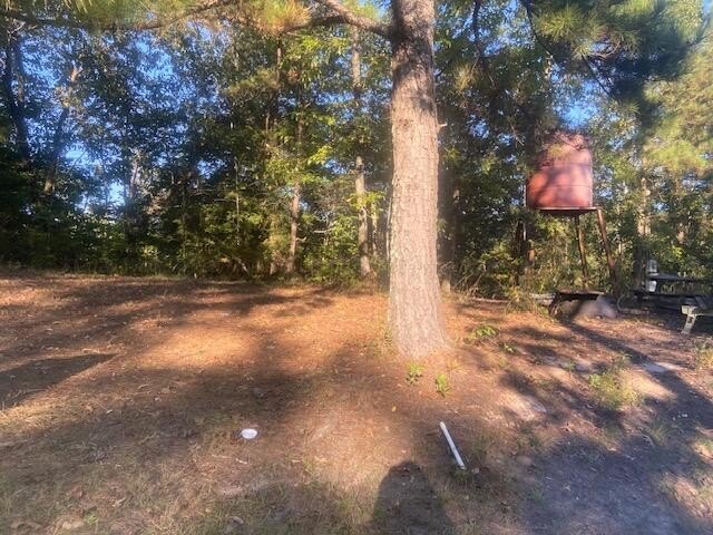 Picture 3