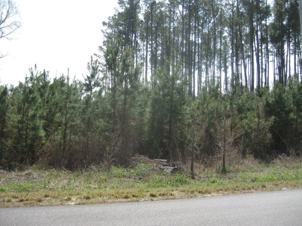 Picture 2