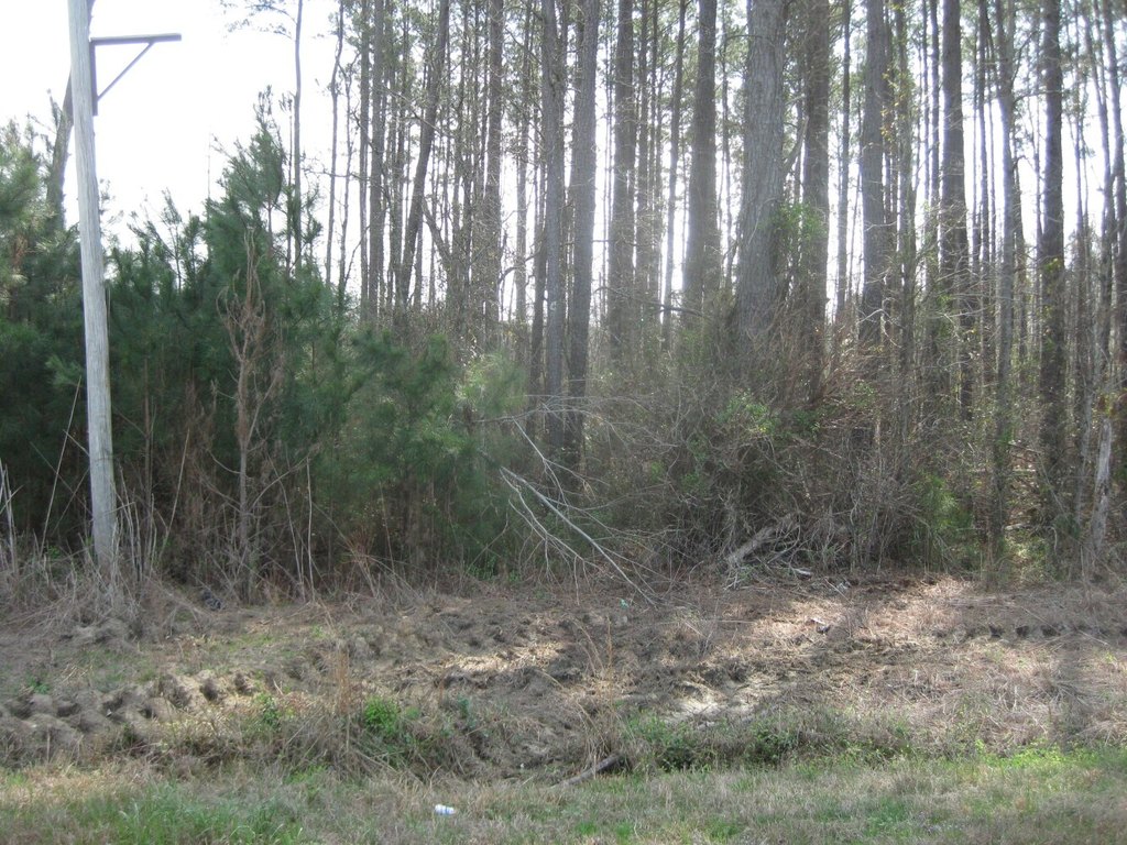 Picture 4