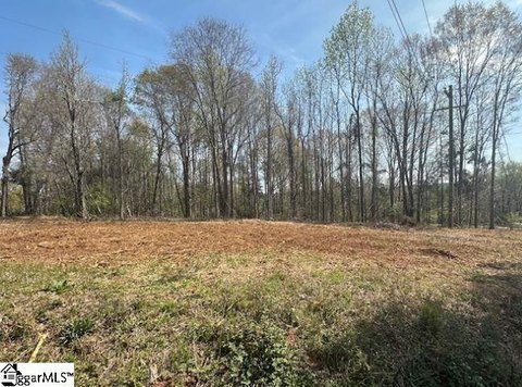 Land in Five Forks Area