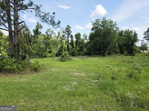 LAND - Ailey, GA