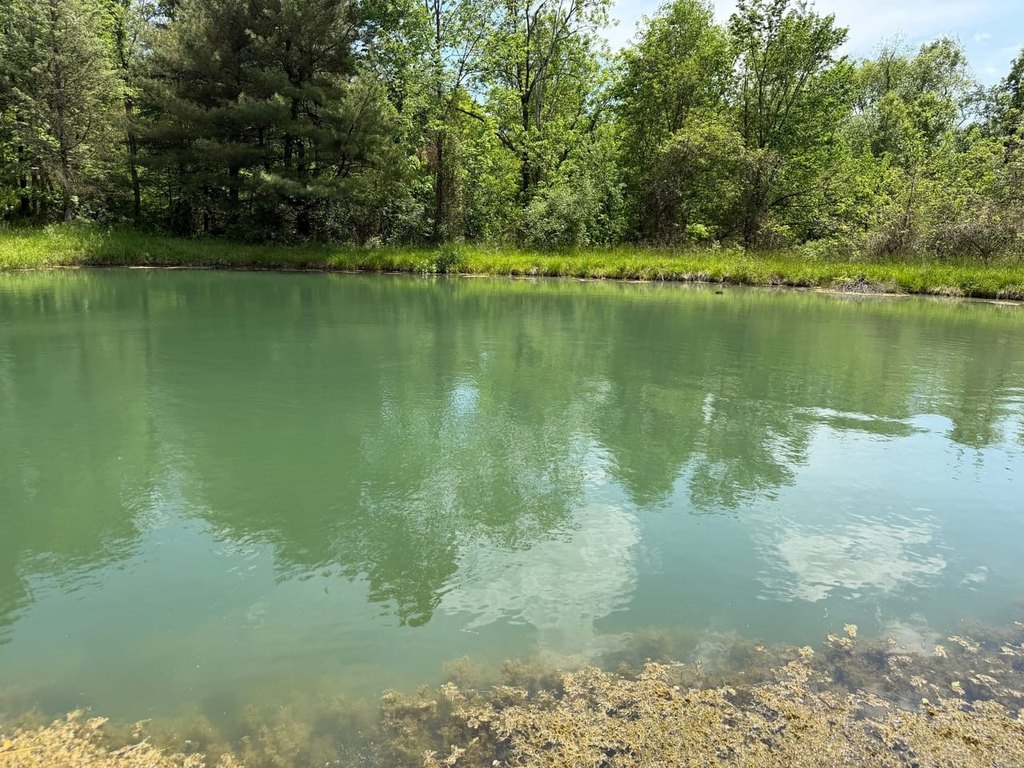 Picture 16