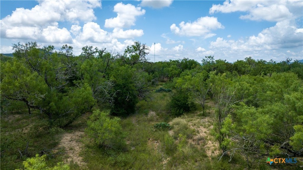 Picture 23