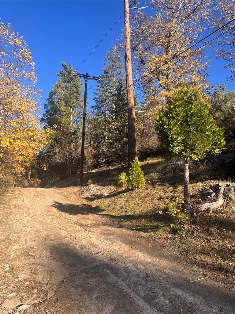 Lake Arrowhead Wooded Land Parcel