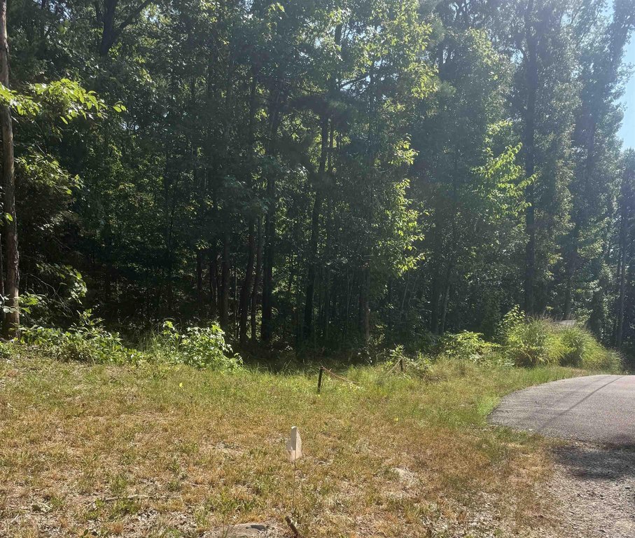 Picture 22
