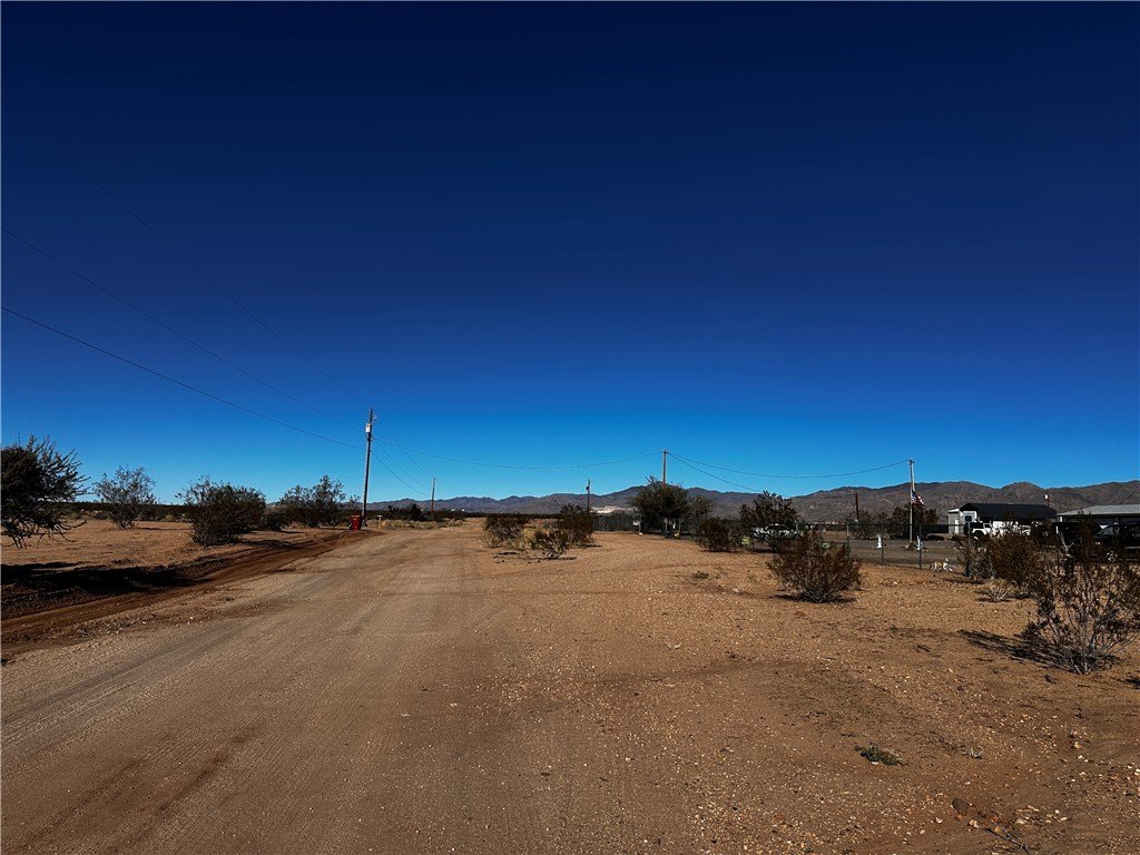 Picture 8