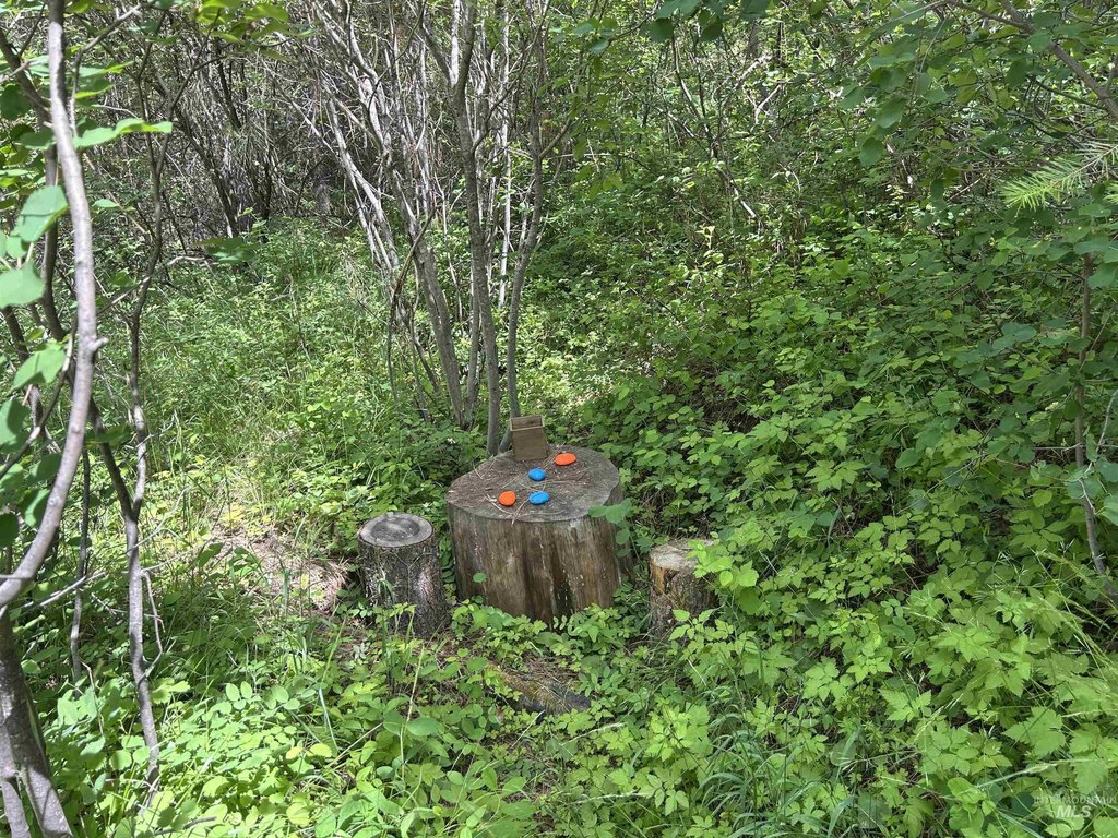 Picture 30