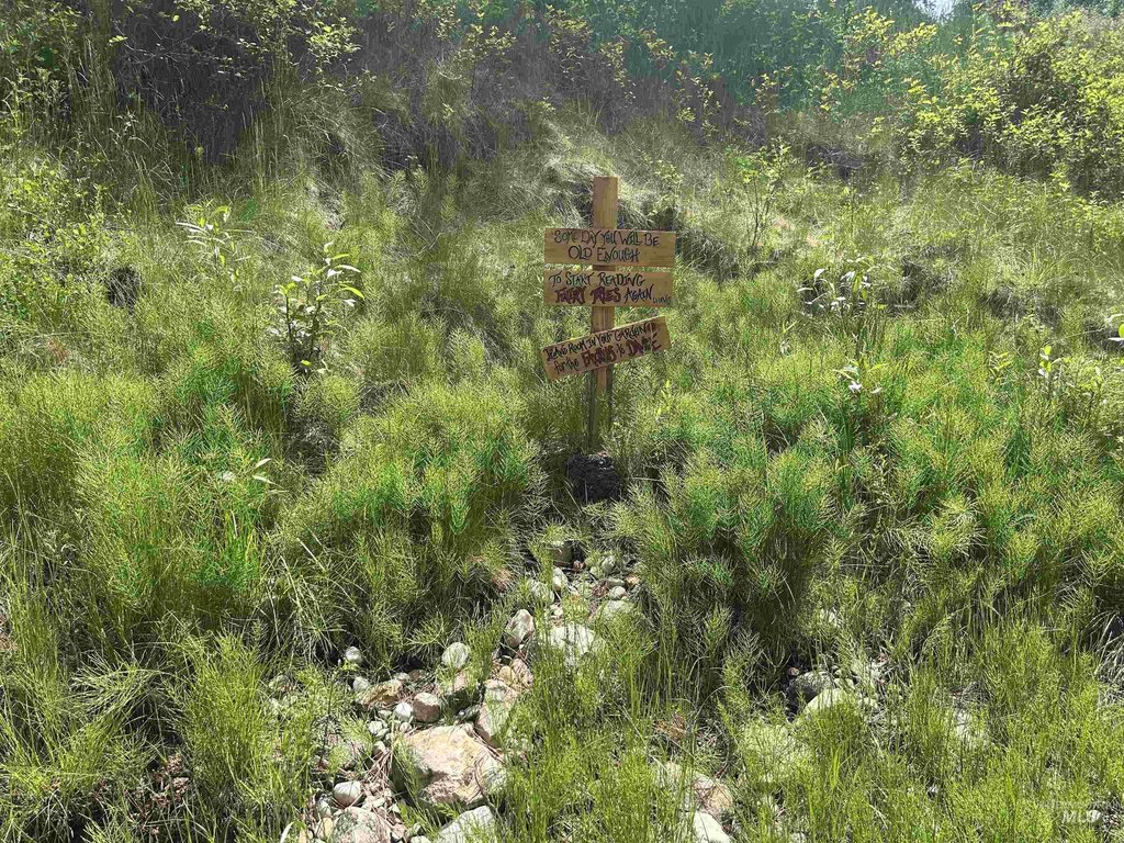 Picture 38