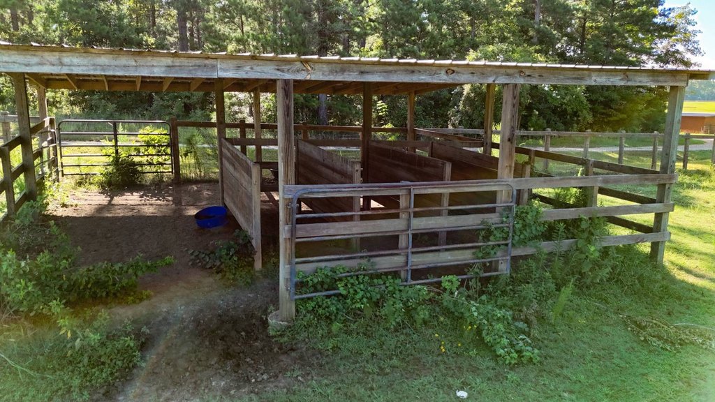 Picture 5
