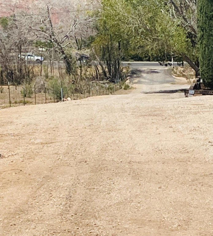 Picture 18