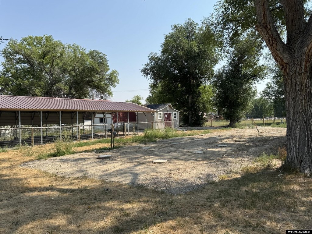 Picture 19