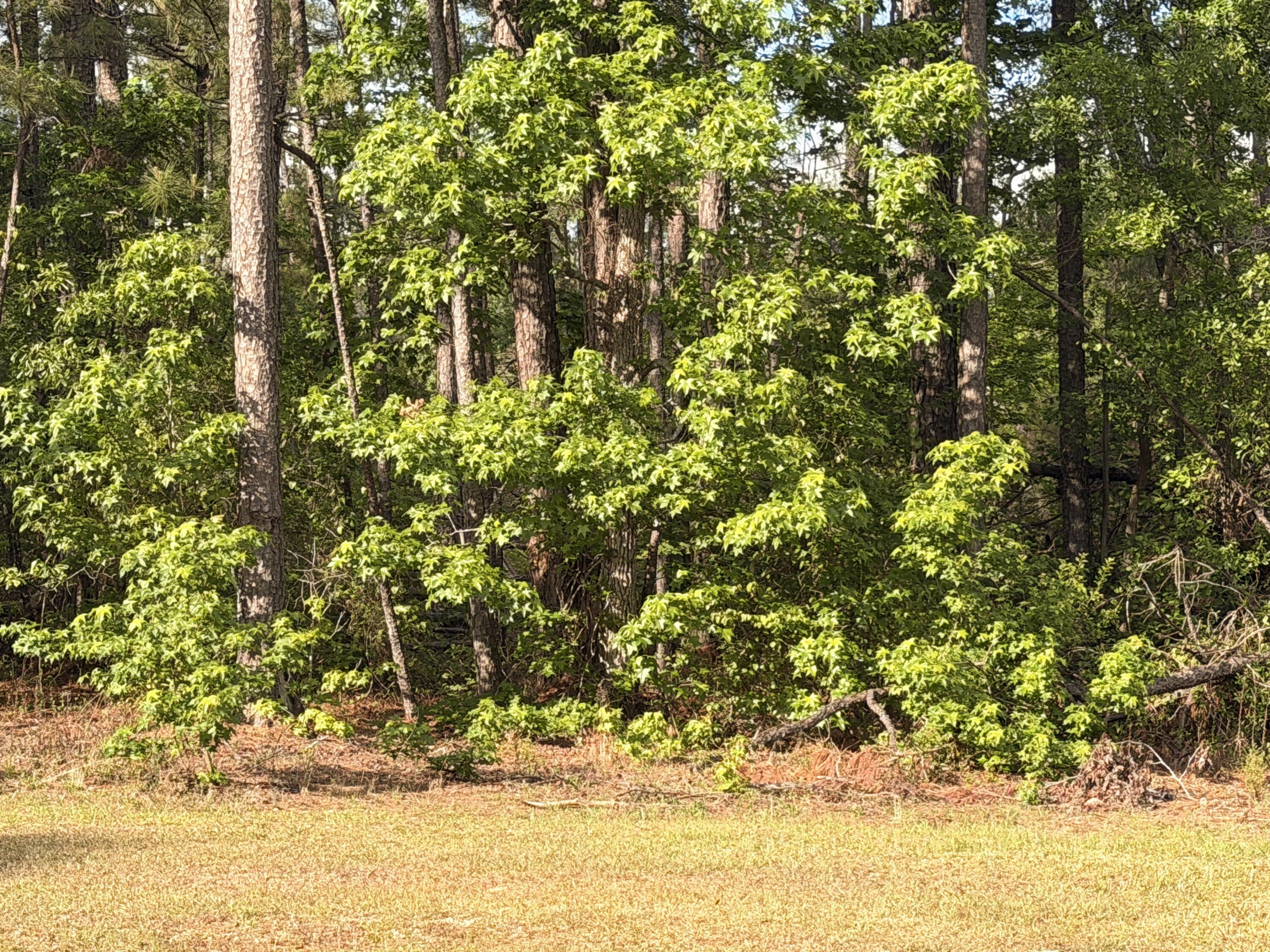 Hephzibah Land Investment Opportunity