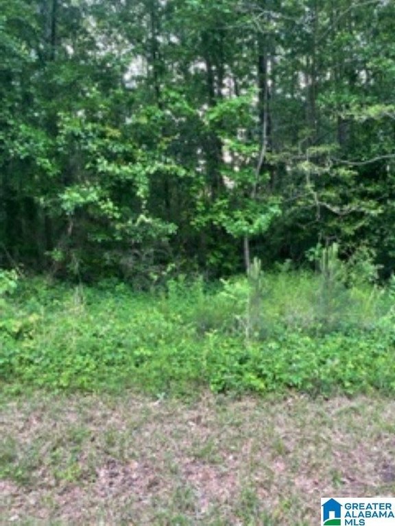 Picture 12