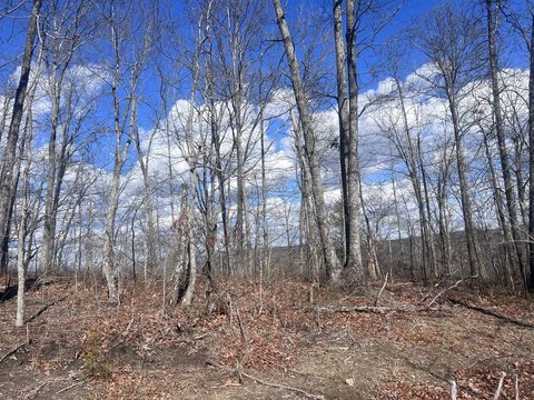 Land with Valley Views