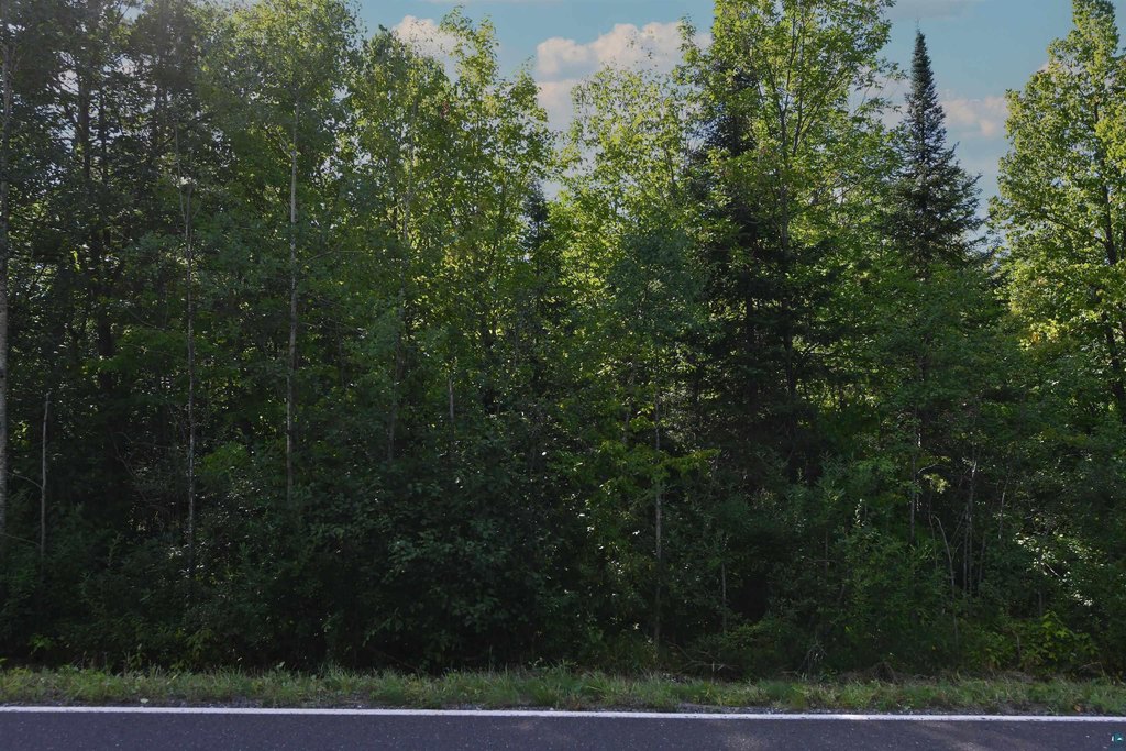 Picture 22