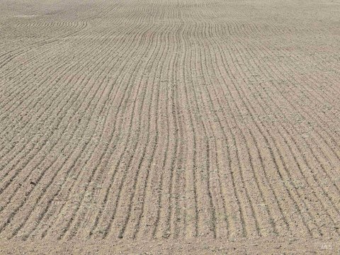 80 Acres of Usable Land