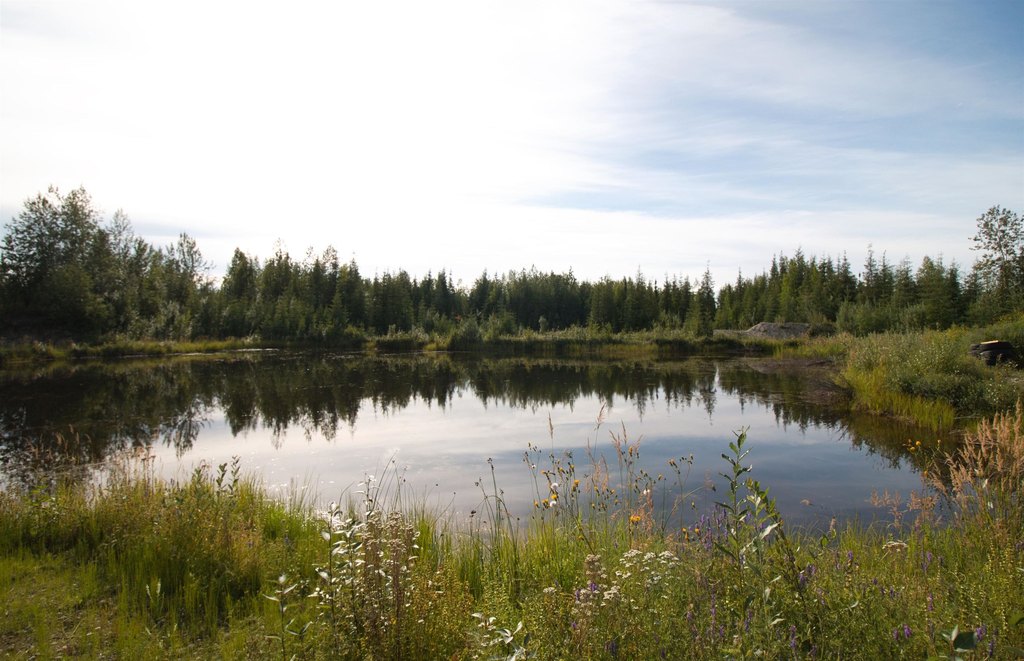 Picture 32