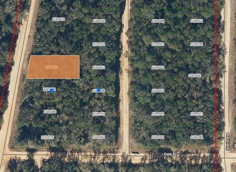 Land Near Lake Grandin