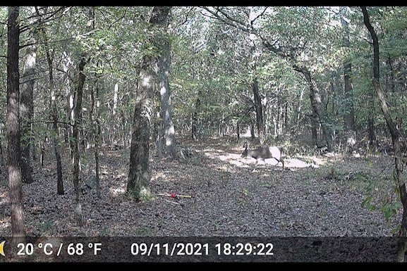 Picture 26