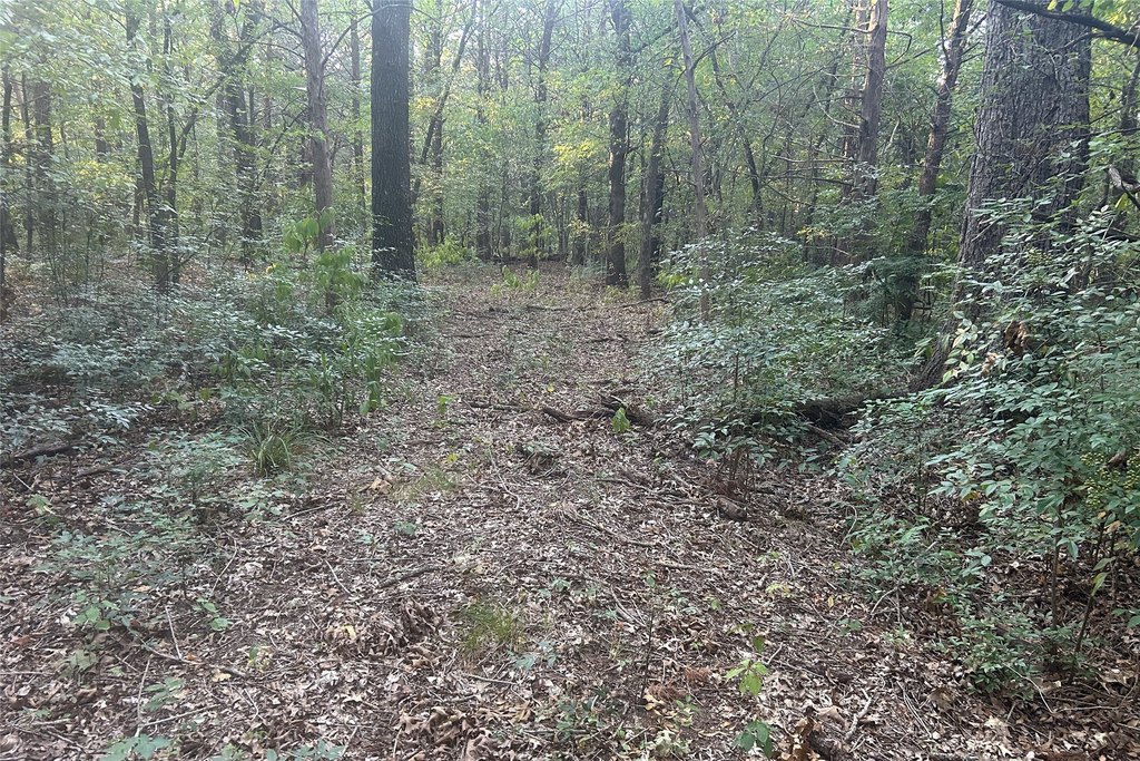 Picture 10