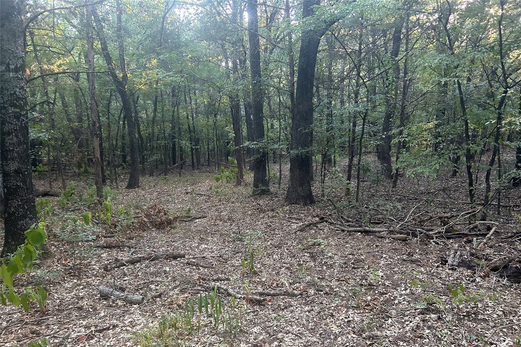 Picture 11