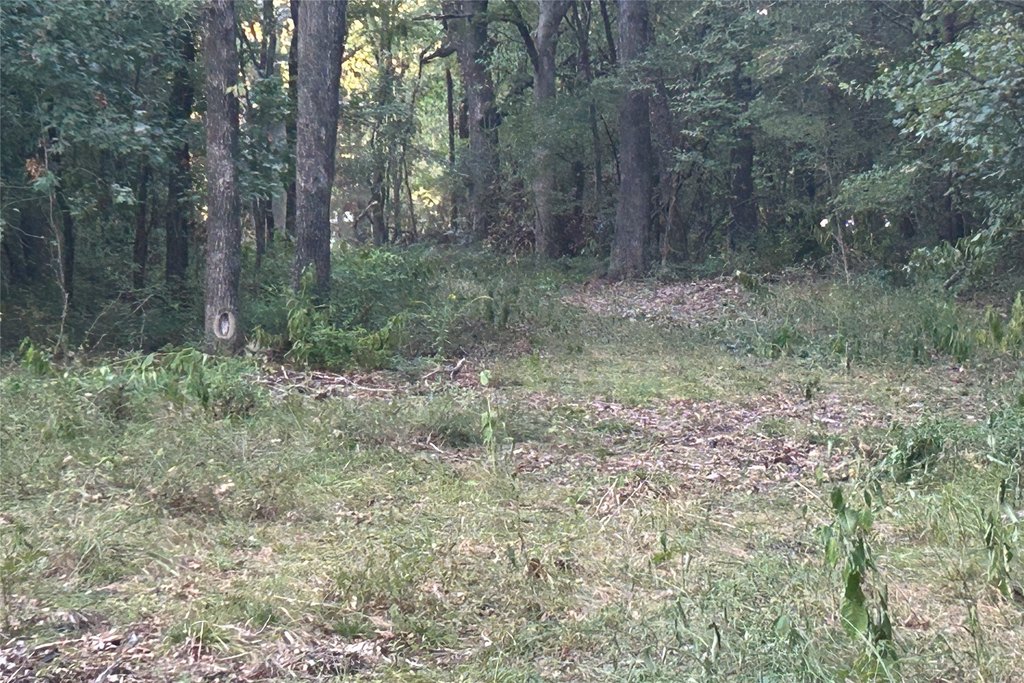 Picture 20
