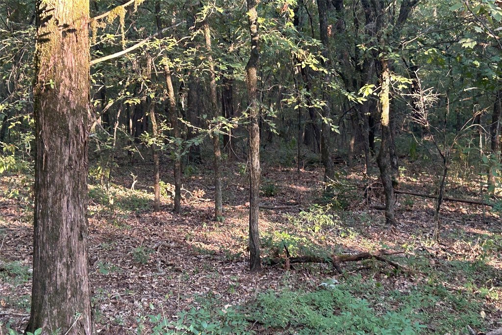 Picture 8