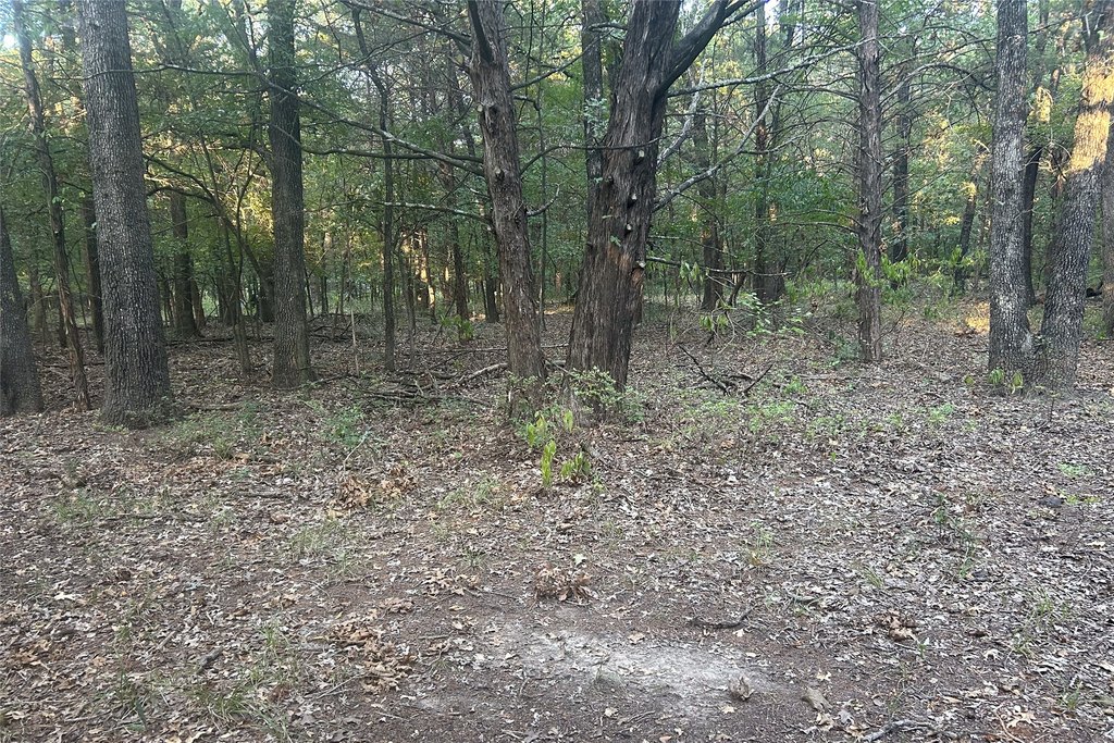 Picture 14