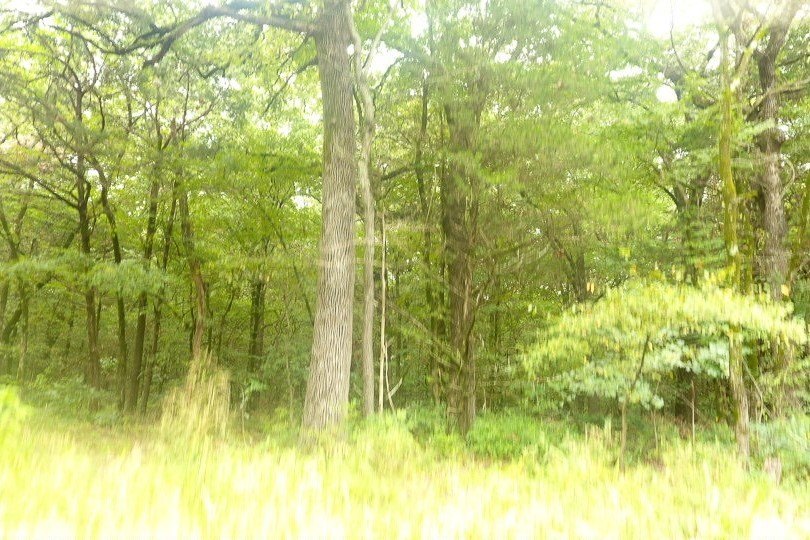 Picture 29