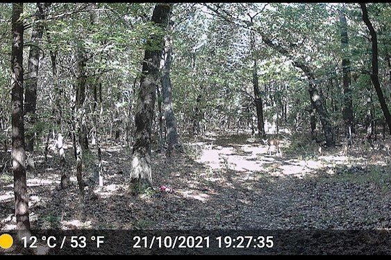 Picture 28