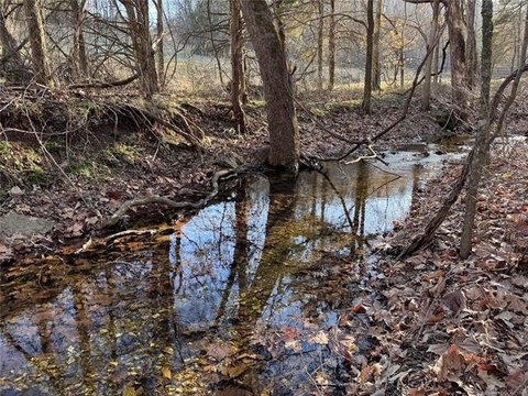 Secluded Hillside Land For Sale