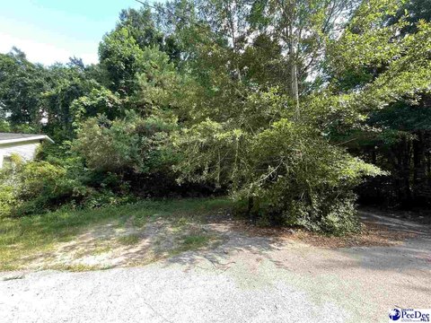 Residential Lot in Bennettsville