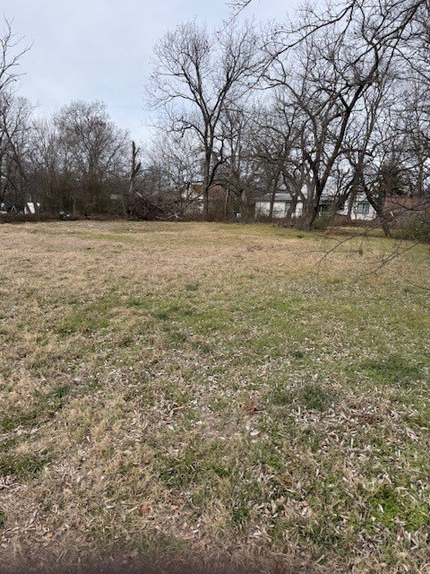Picture 8