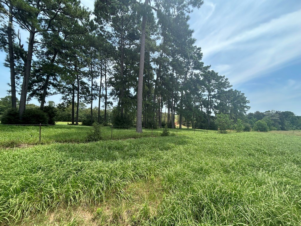 Picture 11