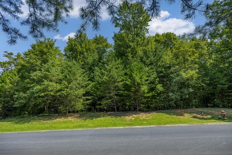 LAND - Dandridge, TN