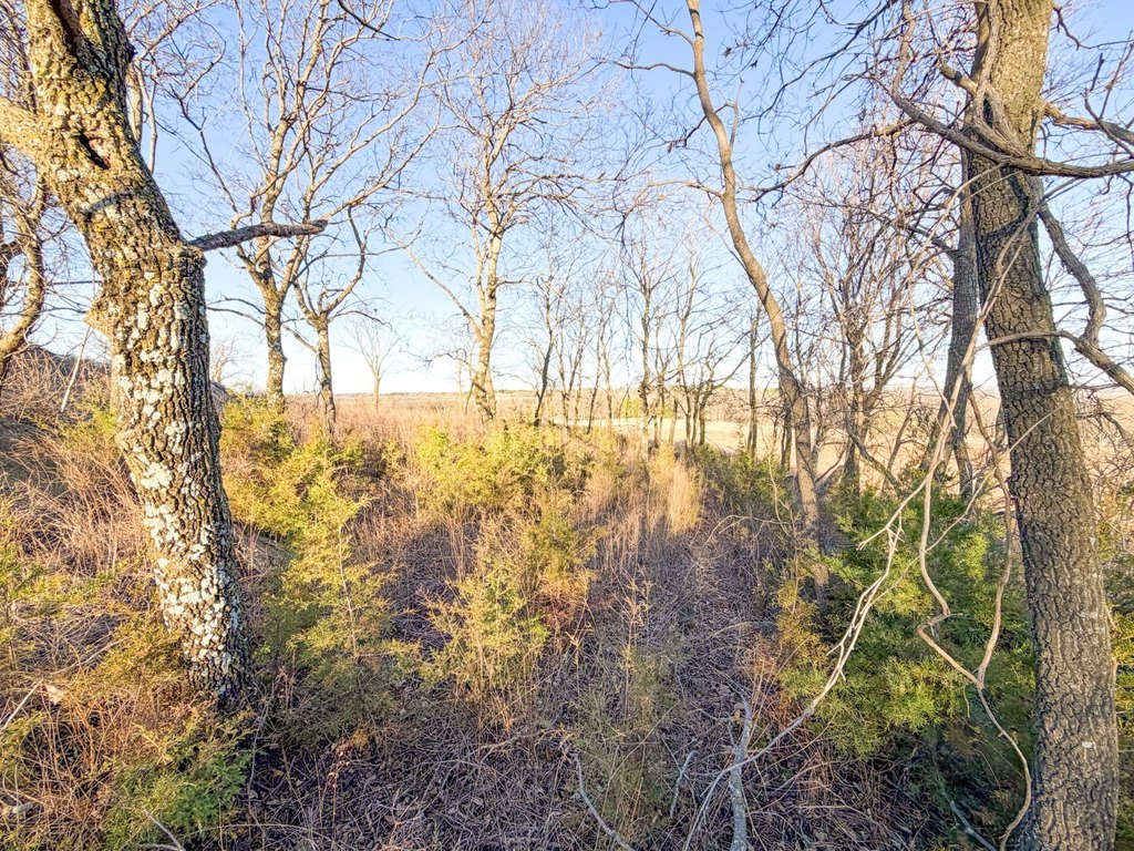 Picture 45