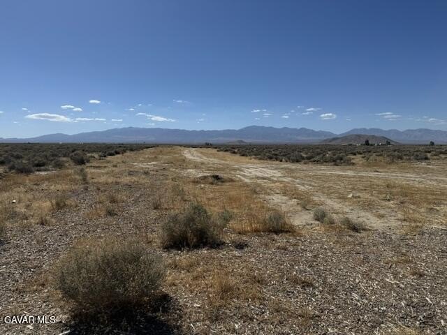 Picture 5