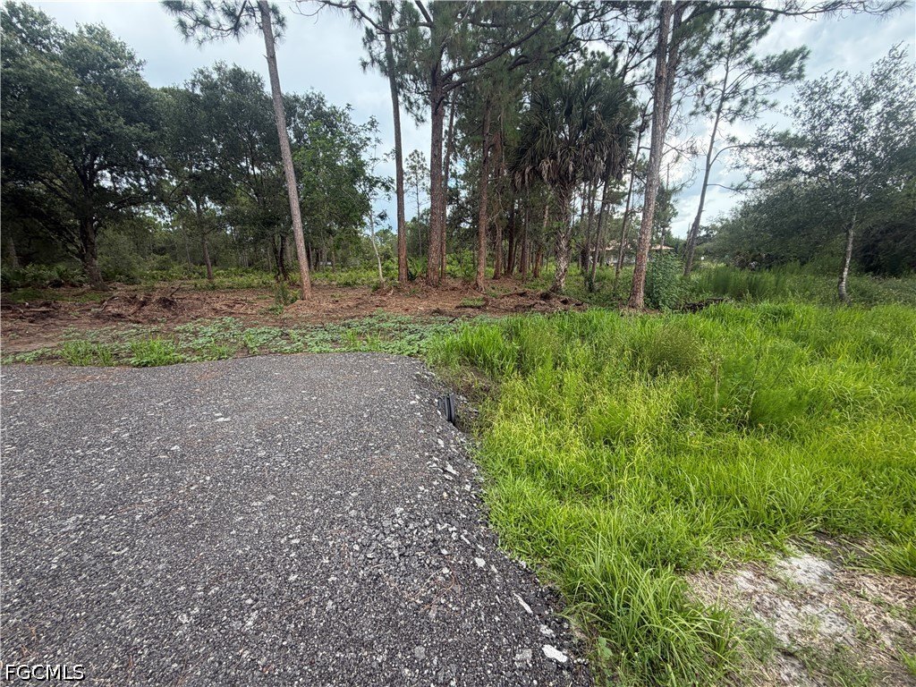 Picture 2