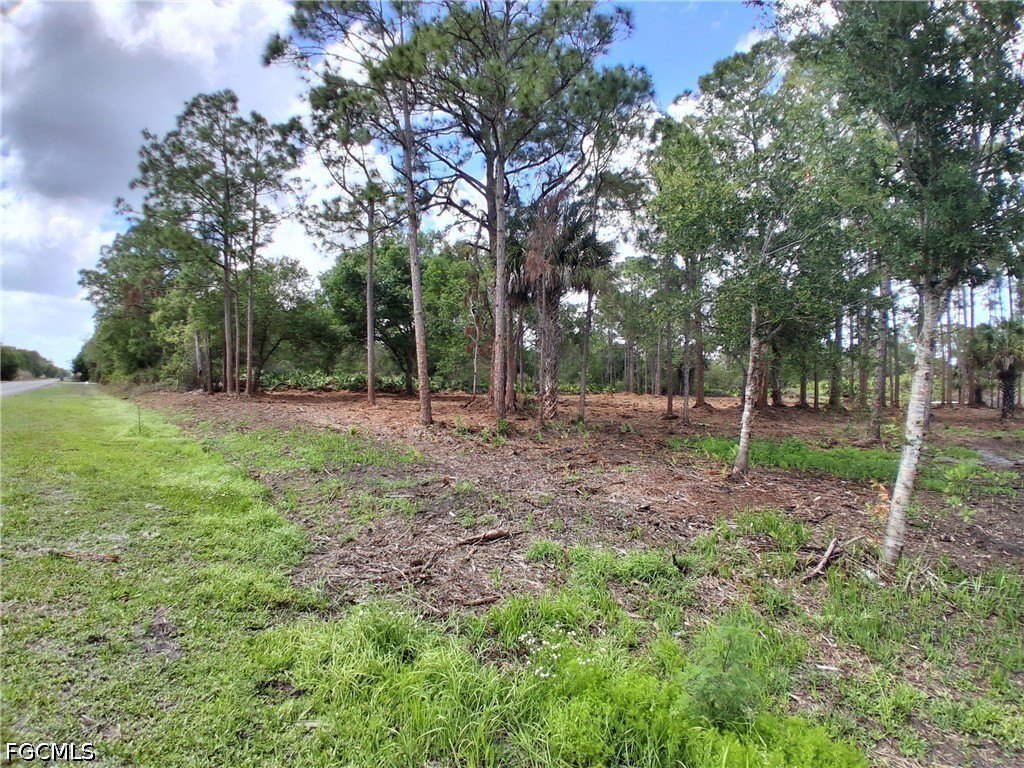 Cleared Land Parcel in Clewiston