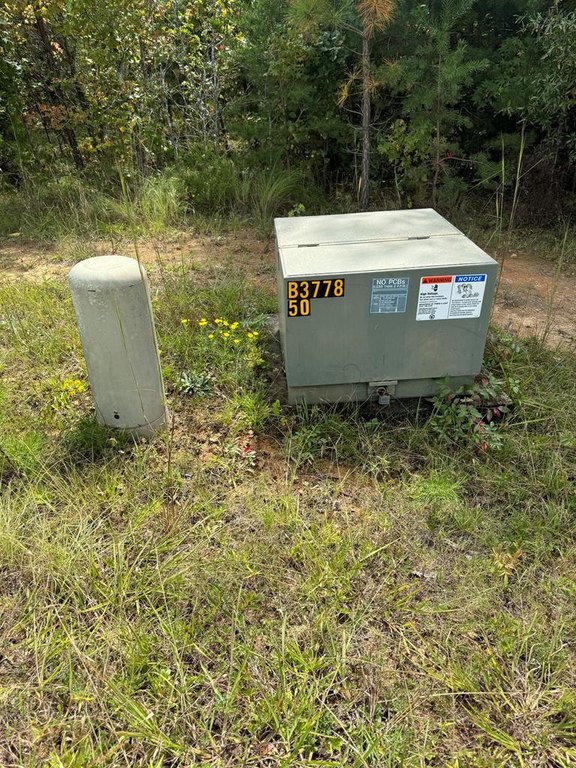 Picture 2