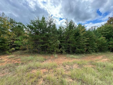 Residential Lot in Danville, VA