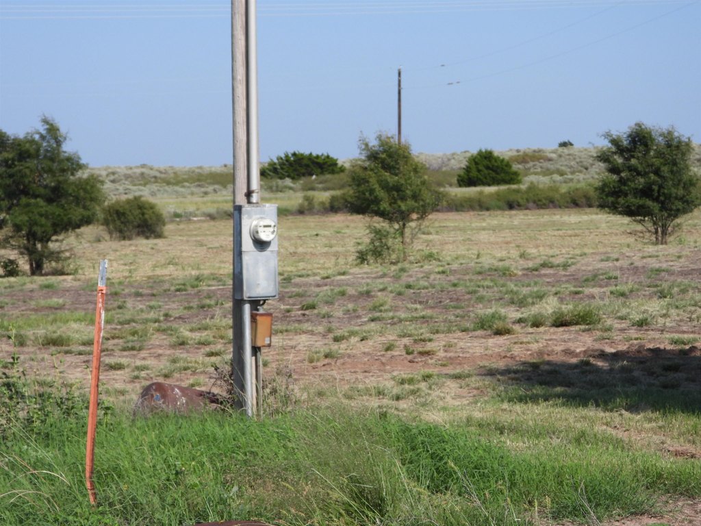Picture 12