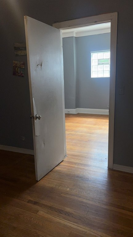 Picture 26