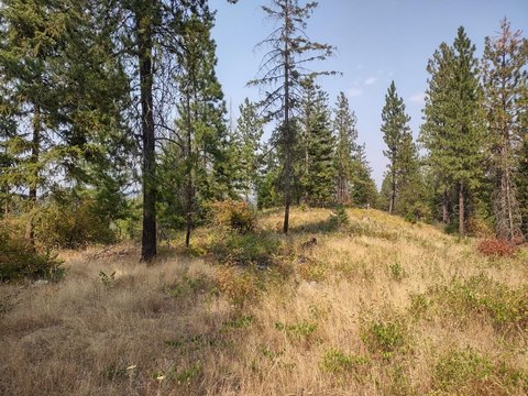 Land, Elk, WA