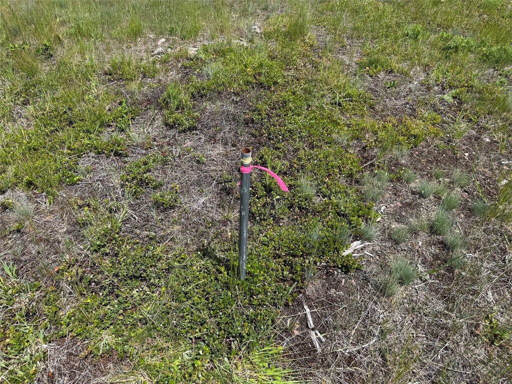 Picture 14
