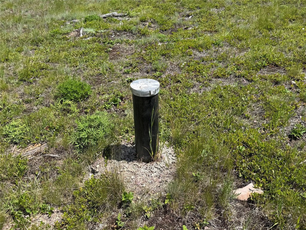 Picture 40