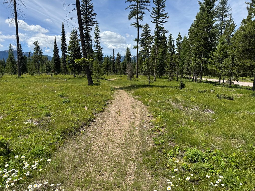Picture 22