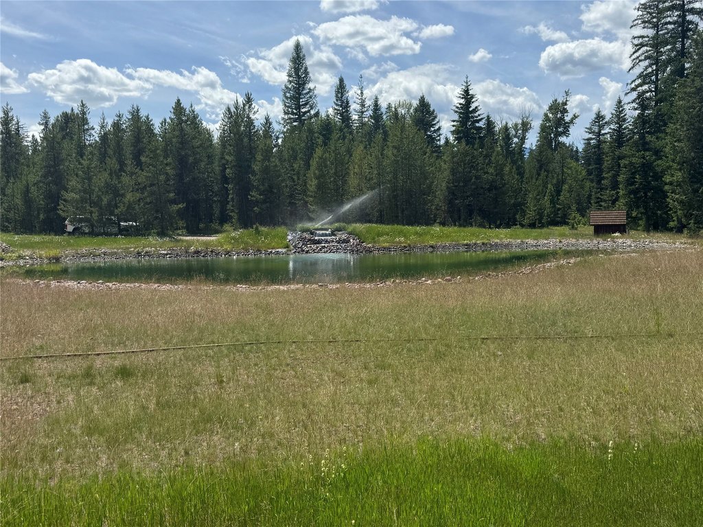 Picture 28