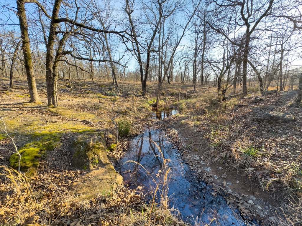 Picture 36