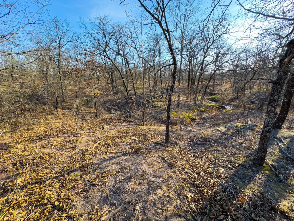 Picture 38